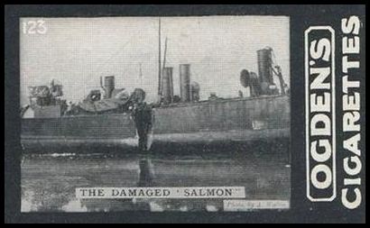 02OGID 123 The Damaged Salmon